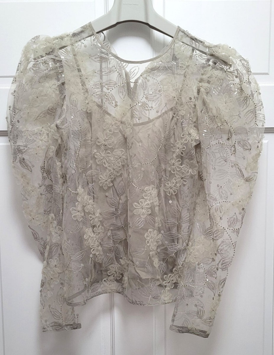 Paris Atelier & Other Stories Sheer Embroidered Organza