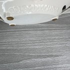 Foto 7 di 12
