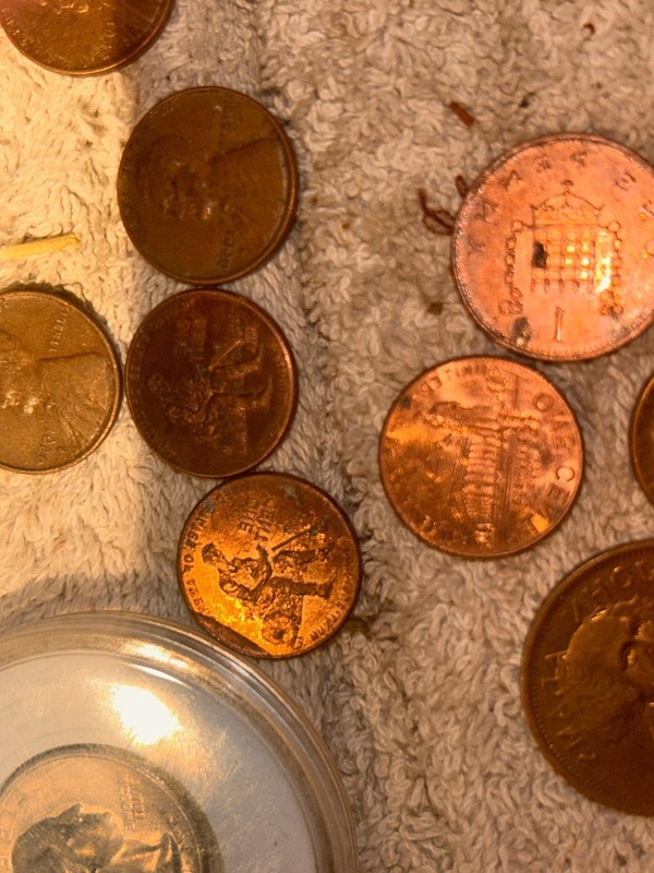 2009 Rare Lincoln Penny Bootstrap error) 1 Of A Kind Early Years Collection