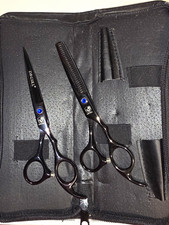 DRGSKL 6" Shear  Thinner Set w/ Case, Black Stainless, Stork Shape