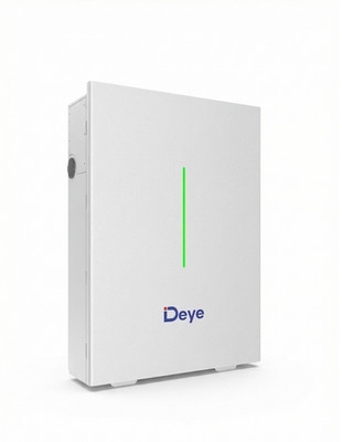 Deye 10.24 kWh LiFePO4 Lithium Battery Solar Wall Mount Outdoor Self-Heating