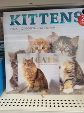 2026 Cat Kittens 12 Months Calendar 12" X 12 " With Bonus Small Cat Calendar 6"