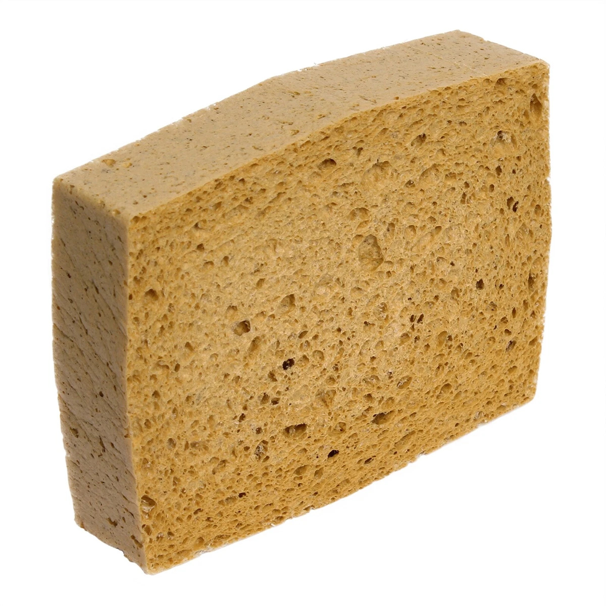 Job for 2024 a sponge