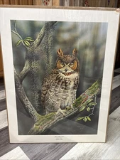 GREAT HORNED OWL 1977 Edition 397/750 By Ronald Louque 18" x 24" NEW & Sealed