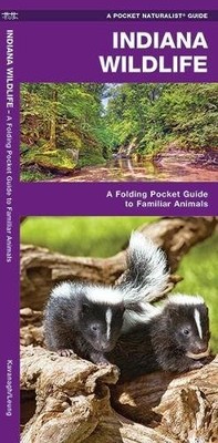 INDIANA WILDLIFE: A FOLDING POCKET GUIDE TO FAMILIAR By James Kavanagh NEW