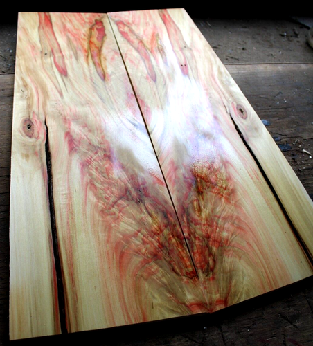 Curly red flame box elder maple drop top .38" thk bass guitar tonewood 2503 - Picture 3 of 11