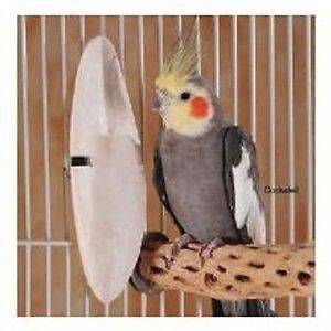 Prevue Hendryx Bulk Cuttlebone 5 Pound/Medium Null