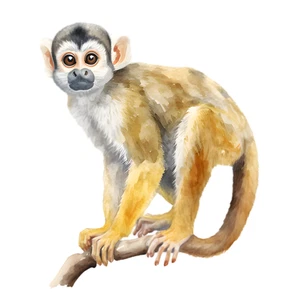 Monkey Ape Animal Jungle Self Adhesive Vinyl Sticker