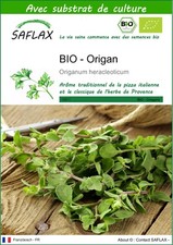 SAFLAX - BIO - Origan - 1500 graines - Avec substrat - Origanum