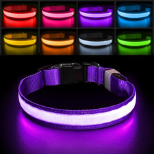 Light up Dog Collar for Night Walking - LED Dog Collar Light Rechargeable Color