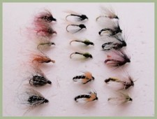 Emerger and Bobs Bits Flies, 18 Pack Trout Flies For Fly Fishing