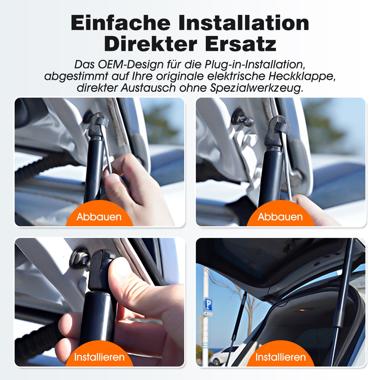 Bild 3 von 21