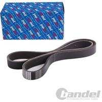 Japko Keilrippenriemen 6PK1030 Passend FüR Nissan Almera