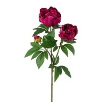 artplants KüNstlicher Zweig Pfingstrose Slorve, Cerise, 70Cm