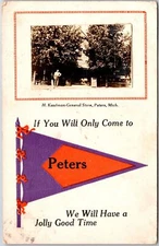 1910 H. Kaufman General Store Peter's Michigan MI Flaglet Uppper House Postcard