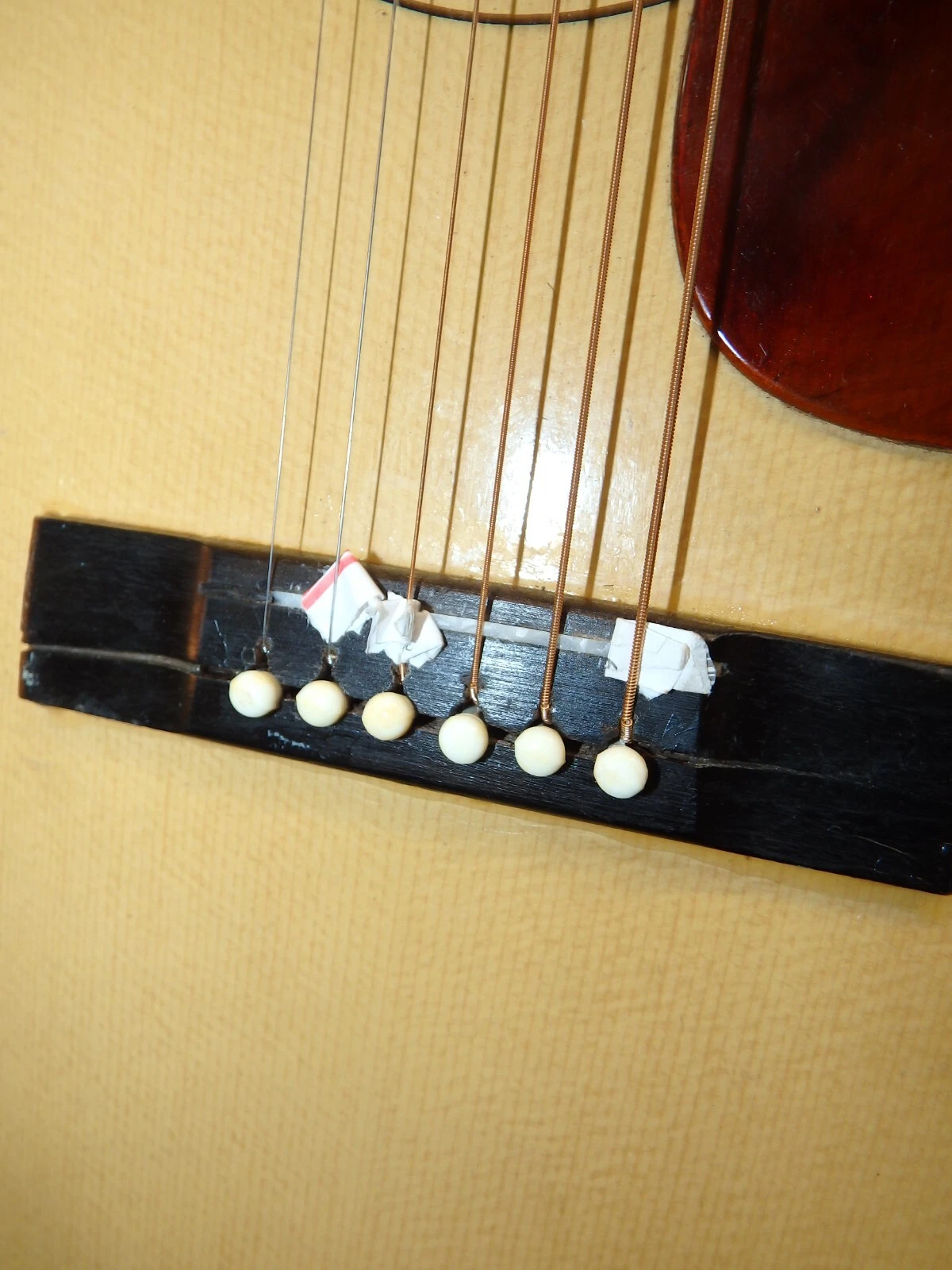 Picture 8 of 24