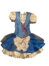 Wizard of Oz Dorothy Costume Girls Medium 8-10 Dress Halloween