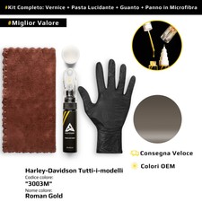 Touch Up Paint for Harley Davidson All Models Kit 3003M Roman Gold