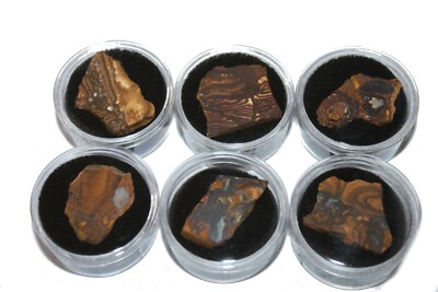 Australischer Boulder Opal Koroit geologisches Gesteinsexemplar mit Opalnähten Edelsteingefäß