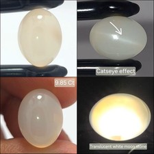 Natural Moonstone cabochon 9.85 ct White Cats...