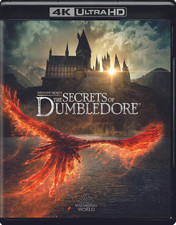 FANTASTIC BEASTS: THE SECRETS OF DUMBLEDORE (...