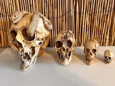4 EA. VINTAGE RANDOTTI SKULLS SNAKE SKULL, SPIDER SKULL, PIXIE SKULL AND SMALL S