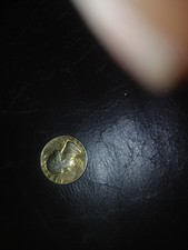  on The Hot Collector