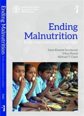 Ending Malnutrition   From Commitment to Action by Jomo Kwame Sundaram PAPERBACK