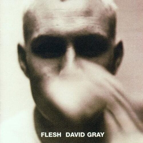 David Gray: Flesh