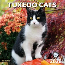 2026 Wall Calendar,Calendar 2026, November 2025 - December 2026, Wall Calendar T