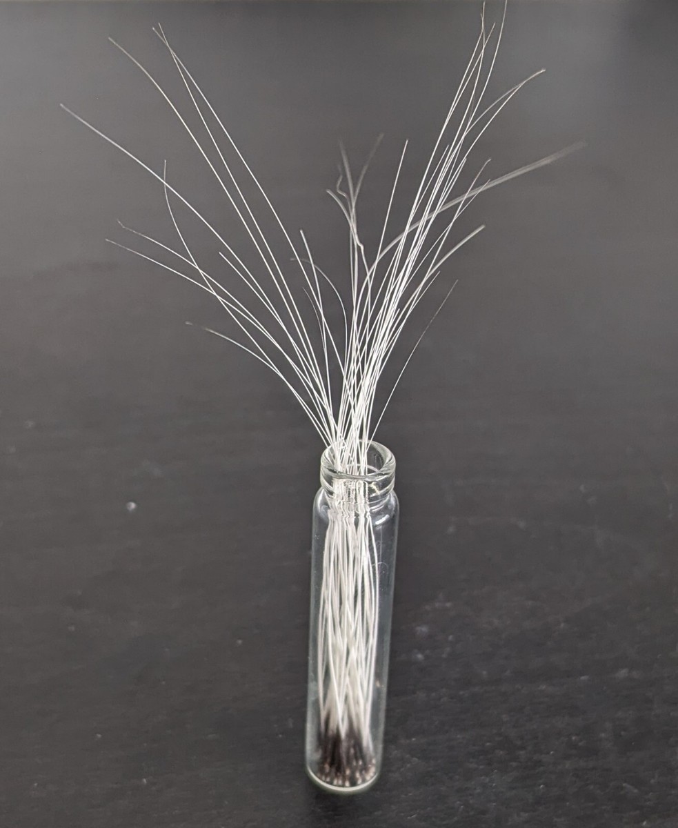 cat whiskers☆ 専用 Real Adult and Kitten Ethically Sourced Cat Whiskers - Pick Your