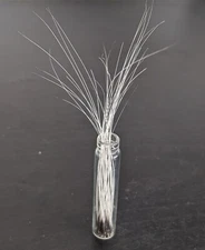 Real Adult and Kitten Ethically Sourced Cat Whiskers - Pick Your Size!