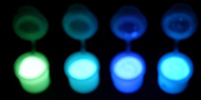 Set Di Campioni Pigmenti Colorati Glow In The Dark – 4 Colori - Foto 6