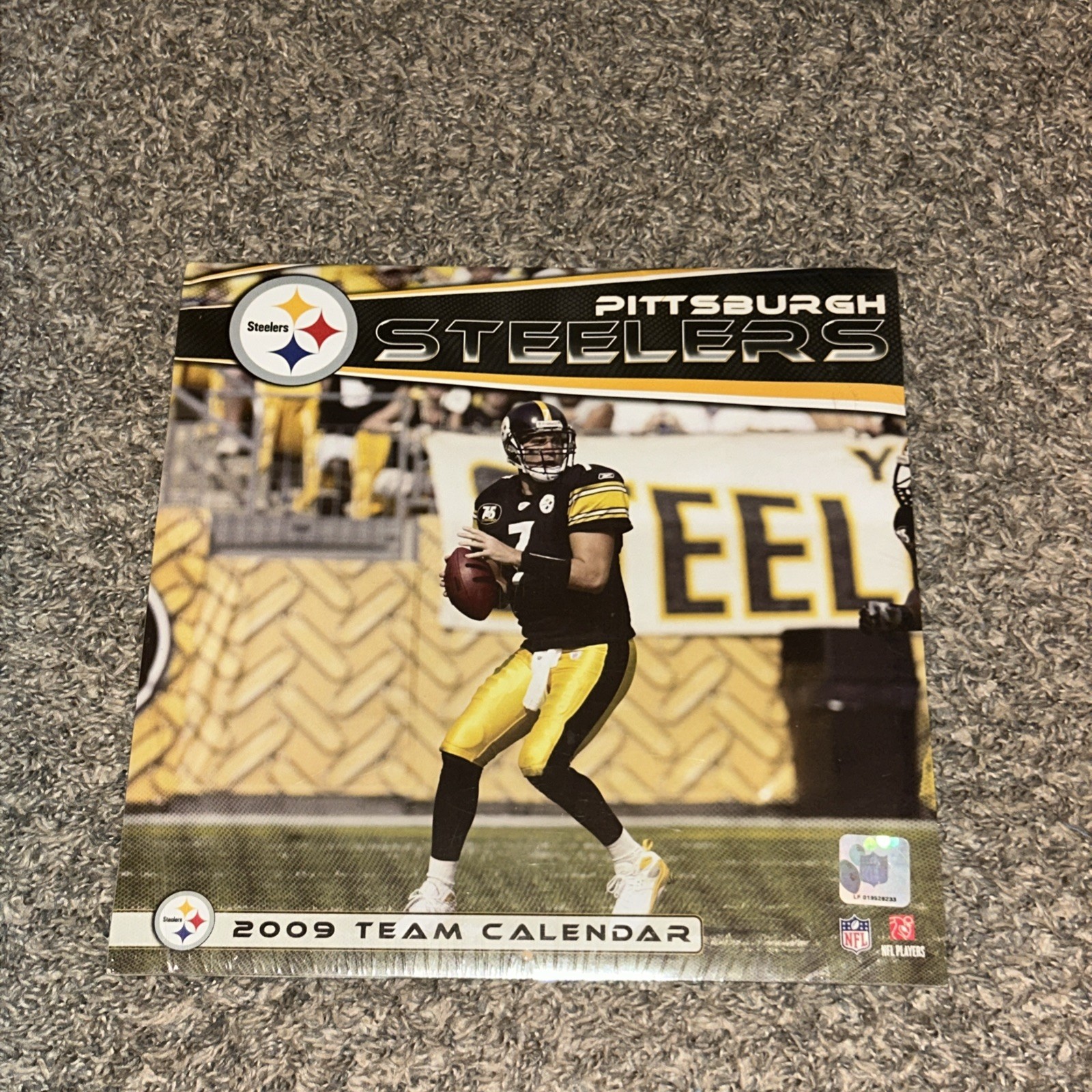 2009 Pittsburgh Steelers NFL Team Wall Calendar Sealed Big Ben Cover