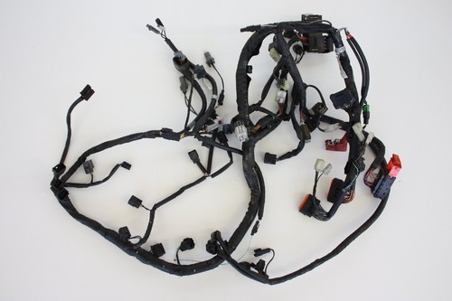 Suzuki Bandit Wiring Loom