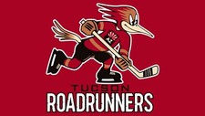 Tucson Roadrunners AHL Hockey Mens Polo XS-6XL, LT-4XLT Arizona Coyotes New