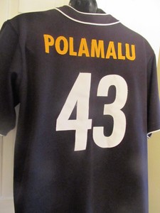 troy polamalu jersey ebay