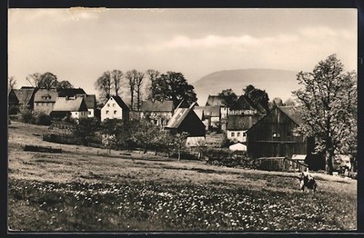 Mauersberg/Erzgeb., town view over field with grazing cow, postcard 