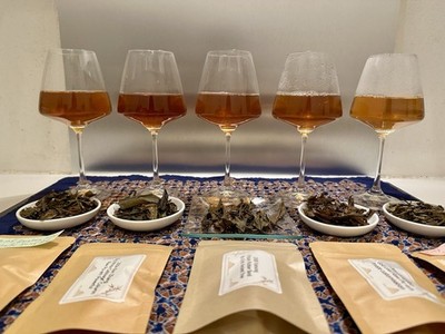Pu-erh Raw Sheng Tasting Set: 5 Classics + 1 Premium Surprise (100g)