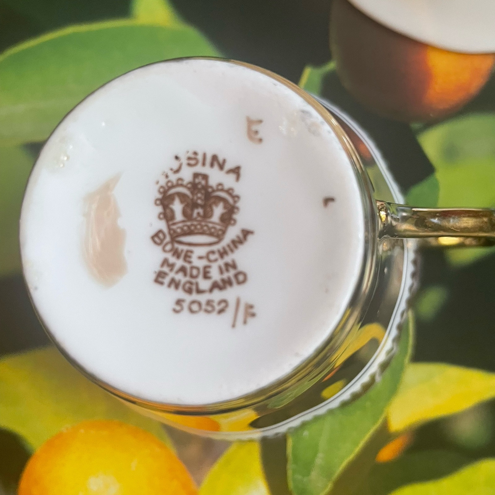 Rosina Bone China Hand Painted Brown & White Heavy Gold Cup & Saucer