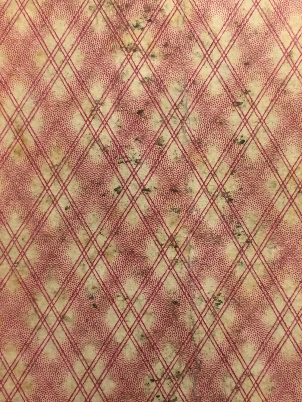 Picture 9 of 12