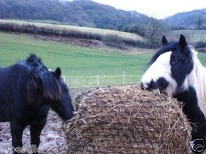 round bale slow feed net