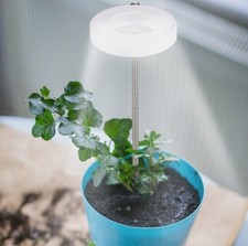 Set of 2 LED Grow Light Plant Lamp Full Spectrum For Indoor Plants with Timer