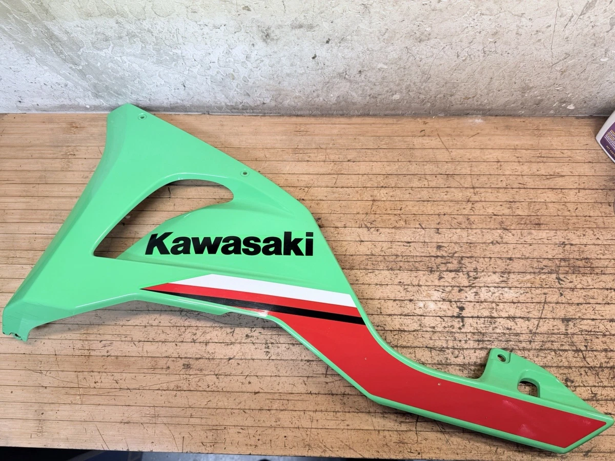 Motorcycle Side Fairings for Kawasaki Ninja ZX6R for sale | eBay