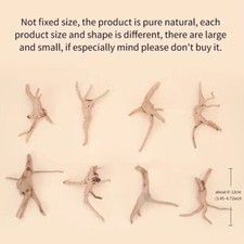 5x All Natural Aquarium Driftwood Assorted Branches for Aquatic Fish Tank