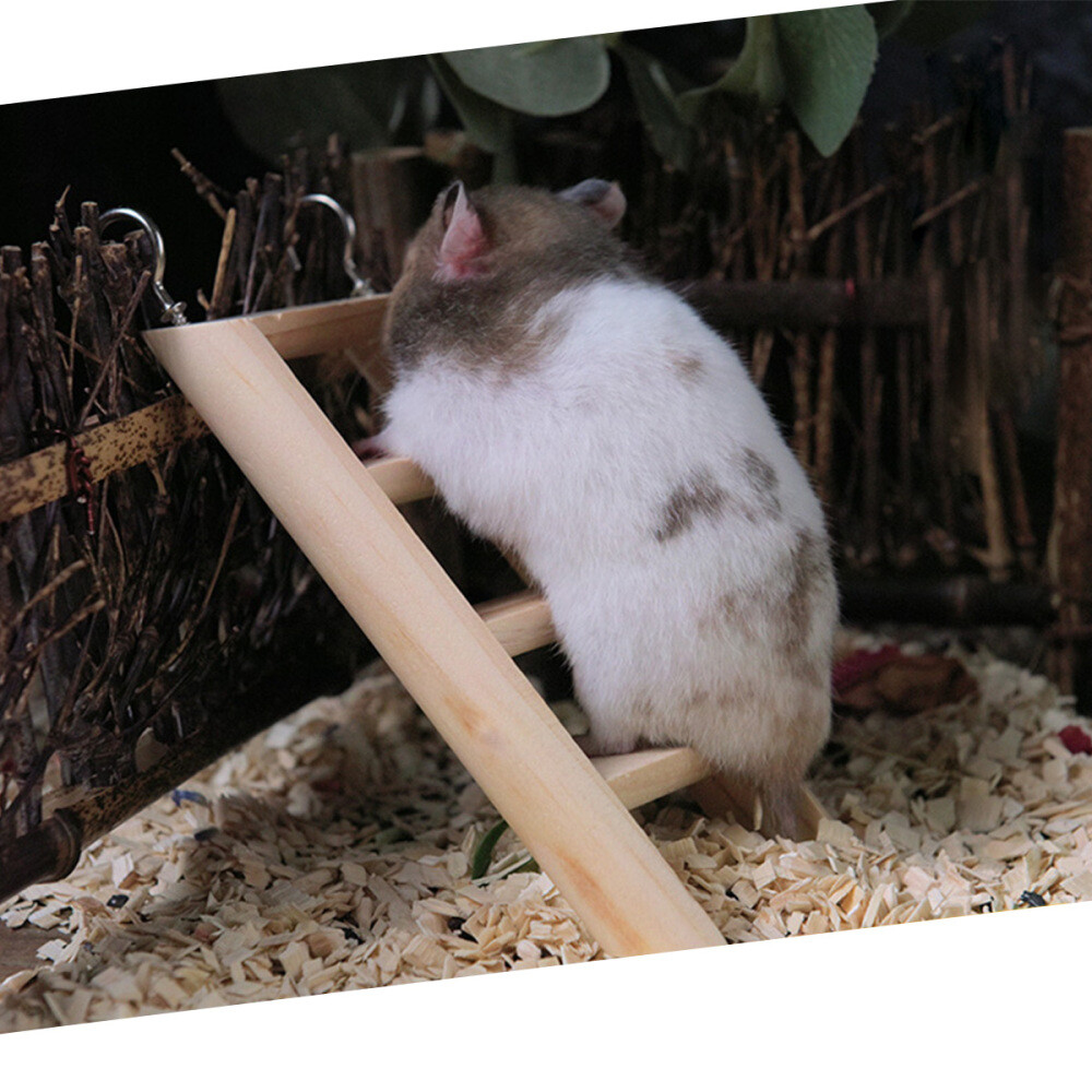 10 Pcs Hamster Toys Accessories Chew Rabbit for Bunnies Teething Baby Care eBay