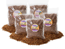10lb Chubby Mealworm  Black Soldier Fly Larvae Mix Chicken, Duck  Bird Treat