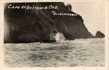 Cape Neskowin OR Oregon 1910 RPPC Photo Postcard COPY