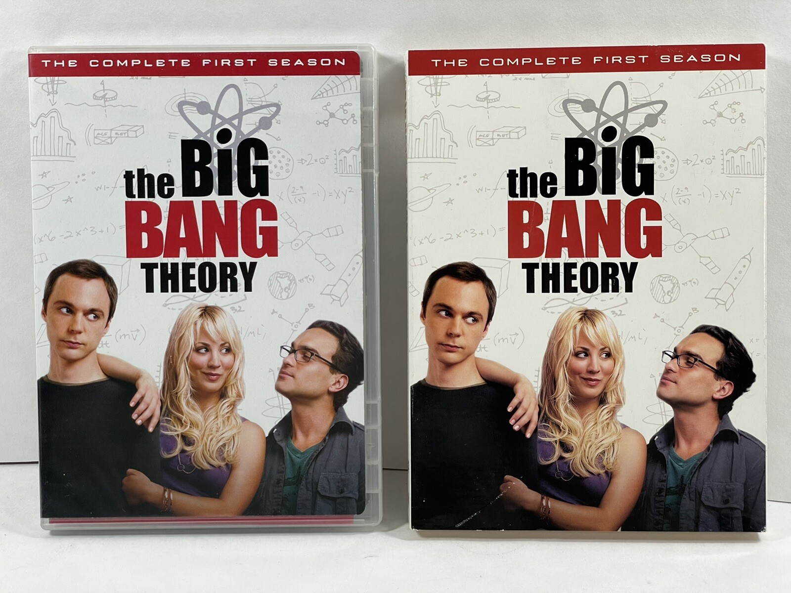 The Big Bang Theory: the Complete First Season (DVD, 2007)