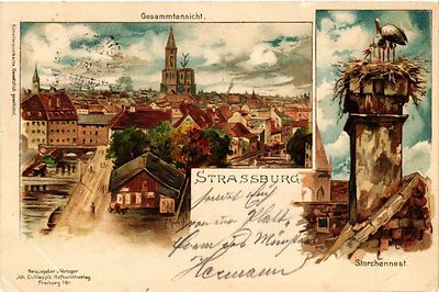 Old postcard postcard Strasbourg - Strasbourg - overall view - stork nest (387398)